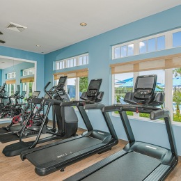 treadmills in the fitness center